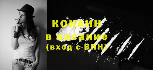 соль ск Арсеньев