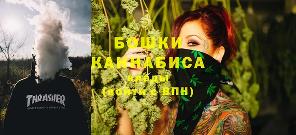 соль ск Арсеньев